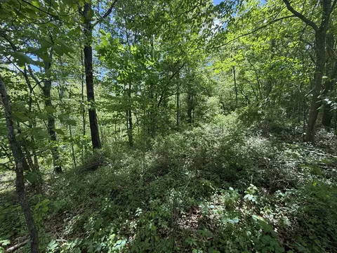 9999 Chestnut Flat Rd, Mckee, KY 40447 photo 11