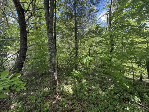 9999 Chestnut Flat Rd, Mckee, KY 40447 photo 10