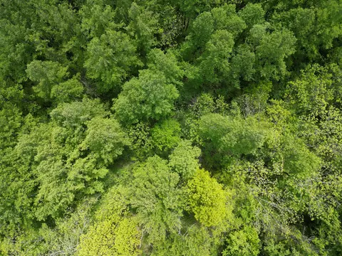 9999 Chestnut Flat Rd, Mckee, KY 40447 photo 13