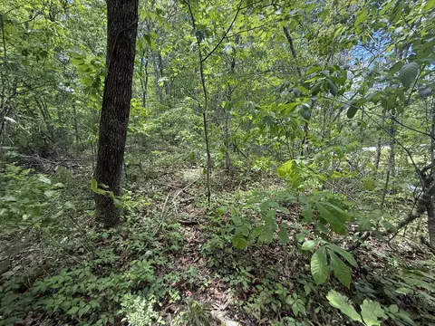 9999 Chestnut Flat Rd, Mckee, KY 40447 photo 8