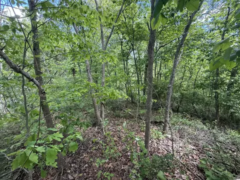 9999 Chestnut Flat Rd, Mckee, KY 40447 photo 2