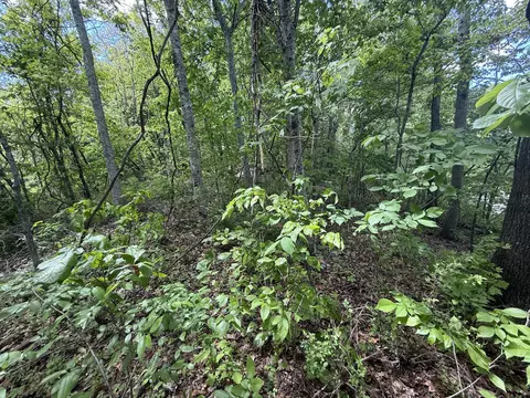9999 Chestnut Flat Rd, Mckee, KY 40447 photo 4