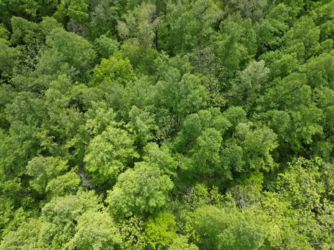 9999 Chestnut Flat Rd, Mckee, KY 40447 photo 14