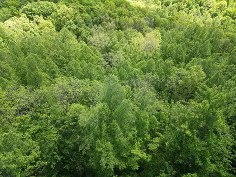 9999 Chestnut Flat Rd, Mckee, KY 40447 photo 15