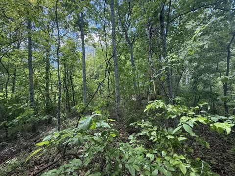 9999 Chestnut Flat Rd, Mckee, KY 40447 photo 5