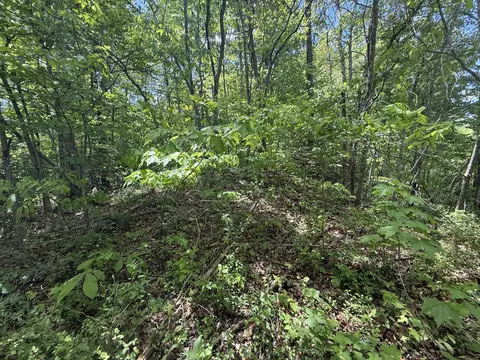 9999 Chestnut Flat Rd, Mckee, KY 40447 photo 6
