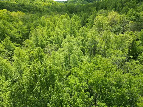 9999 Chestnut Flat Rd, Mckee, KY 40447