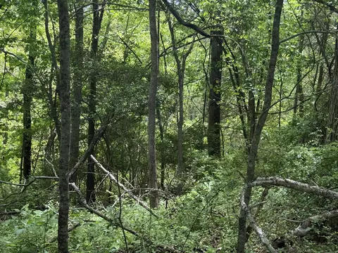 9999 Chestnut Flat Rd, Mckee, KY 40447 photo 7