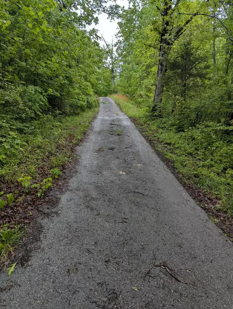 10970 Mcwhorter Rd, London, KY 40741