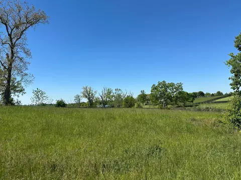 5 2 Acres On Carrick Pike, Georgetown, KY 40324 photo 6