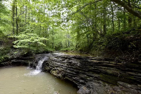339 Cow Creek Rd, Ravenna, KY 40472