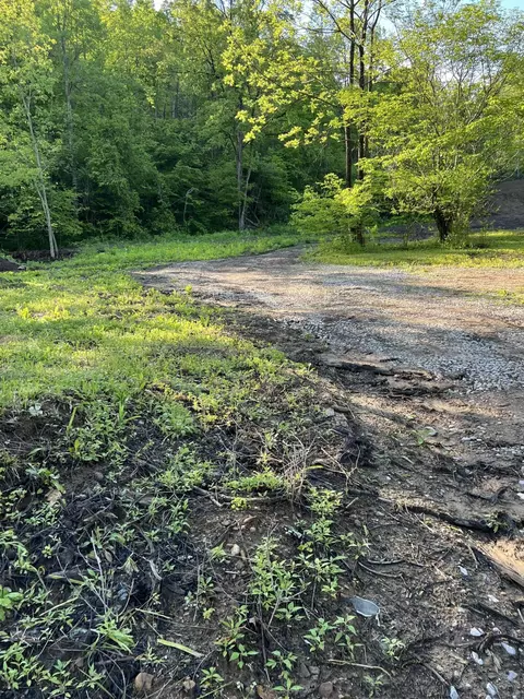 000 Hwy 3446, Mckee, KY 40447 photo 8