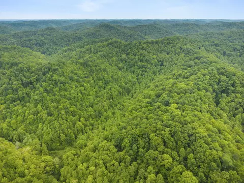 0 Jetts Creek Rd, Jackson, KY 41339 photo 17
