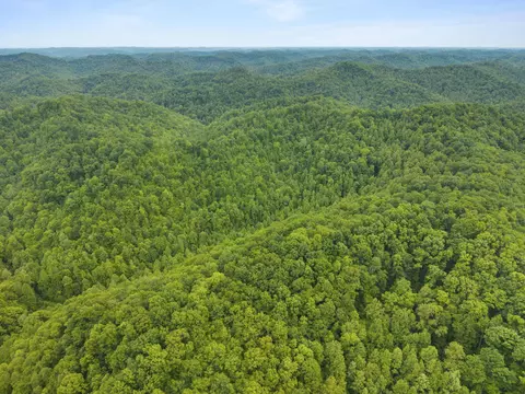0 Jetts Creek Rd, Jackson, KY 41339 photo 16