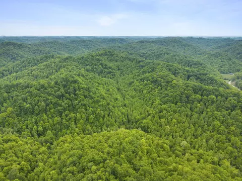 0 Jetts Creek Rd, Jackson, KY 41339 photo 19