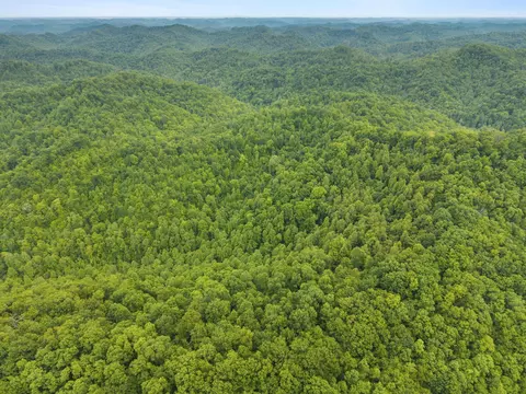 0 Jetts Creek Rd, Jackson, KY 41339 photo 15