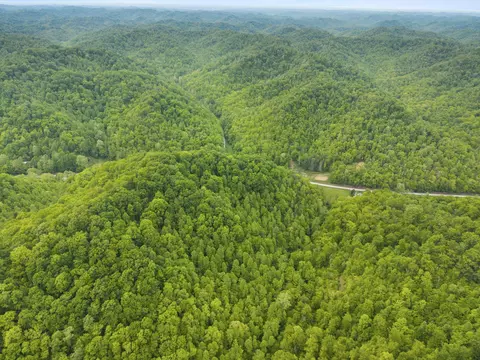 0 Jetts Creek Rd, Jackson, KY 41339 photo 13