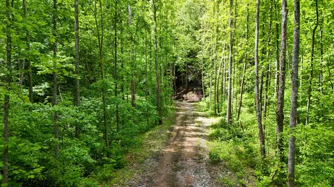 0 Amy Branch Rd, Roark, KY 40979