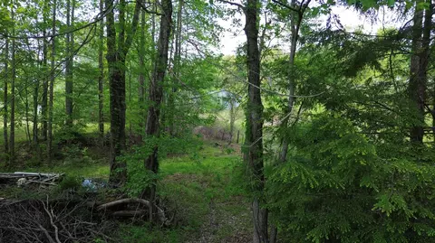 1008 Campbell Rd, Corbin, KY 40701