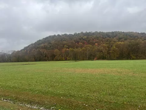 1037 Big Salt Lick Creek Rd, Salt Lick, KY 40371