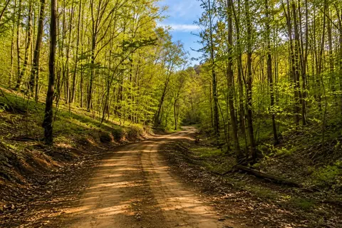 0 Blackstone Mountain Phase Ii Tract 72, Manchester, KY 40962