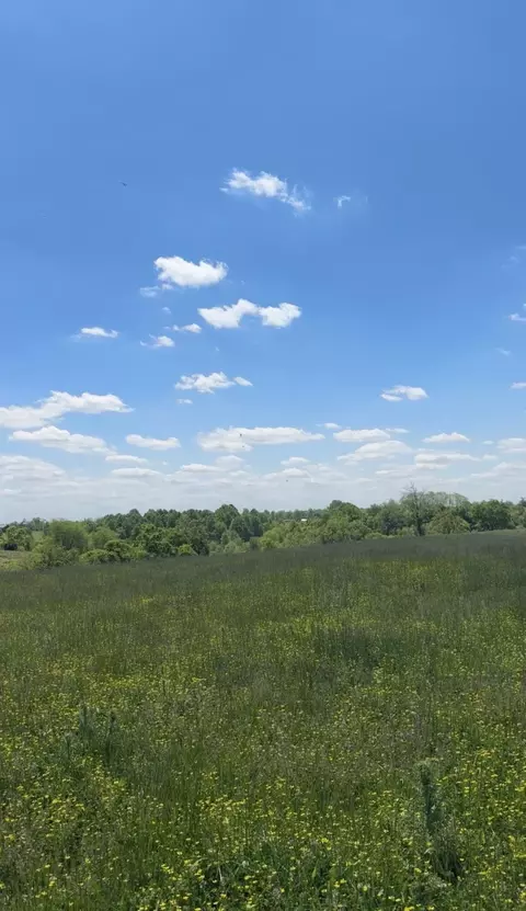 1102 Nina Ridge Rd, Lancaster, KY 40444