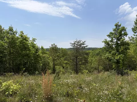 0000 Sandhill Rd, Whitley City, KY 42653