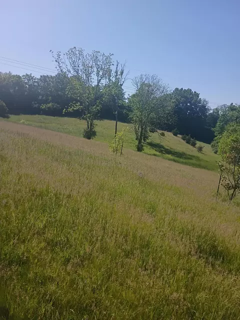 142 Plantation Dr, Richmond, KY 40475