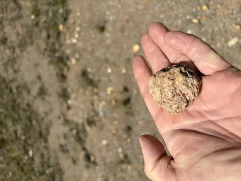 4570 Pointer Creek Rd, Nancy, KY 42544 photo 35