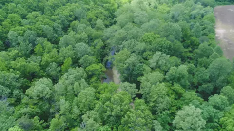 4570 Pointer Creek Rd, Nancy, KY 42544 photo 17
