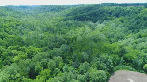 4570 Pointer Creek Rd, Nancy, KY 42544 photo 25