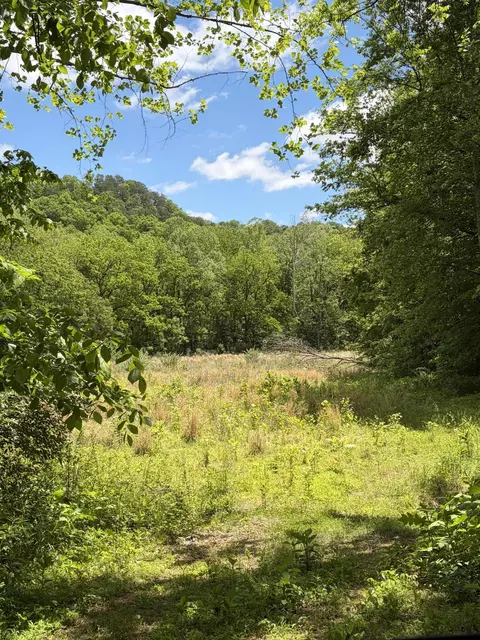 4570 Pointer Creek Rd, Nancy, KY 42544 photo 26