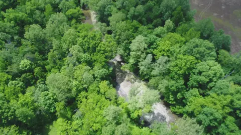 4570 Pointer Creek Rd, Nancy, KY 42544 photo 16