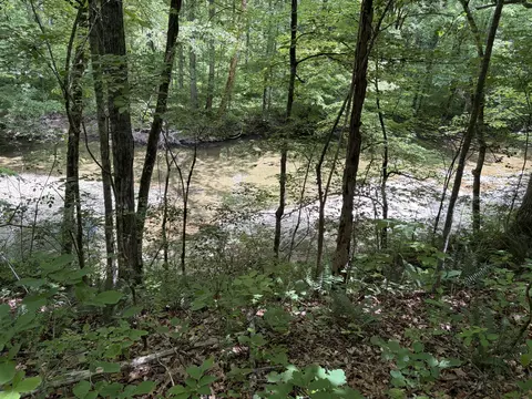 4570 Pointer Creek Rd, Nancy, KY 42544 photo 31