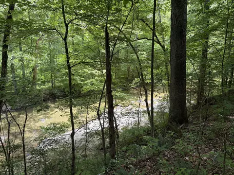 4570 Pointer Creek Rd, Nancy, KY 42544 photo 30