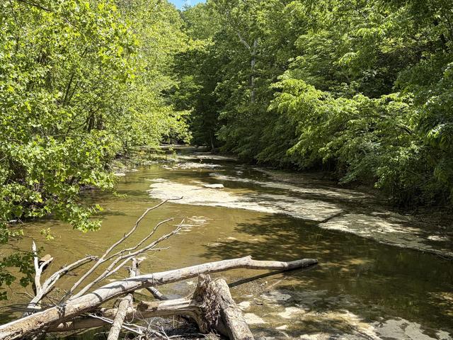 4570 Pointer Creek Rd, Nancy, KY 42544