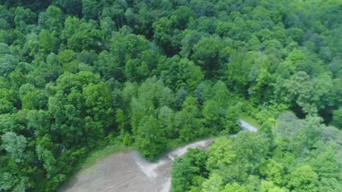 4570 Pointer Creek Rd, Nancy, KY 42544 photo 22