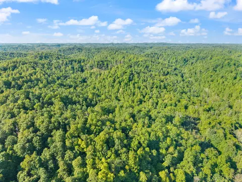 View/Area - 2881 Ky 755, Sandy Hook, KY 41171 photo 2 of 31