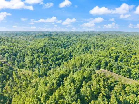 View/Area - 2881 Ky 755, Sandy Hook, KY 41171 photo 27 of 31
