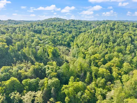 View/Area - 2881 Ky 755, Sandy Hook, KY 41171 photo 16 of 31