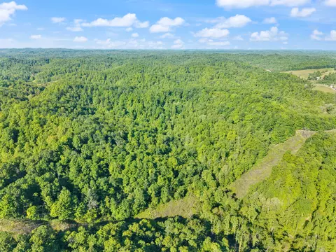 View/Area - 2881 Ky 755, Sandy Hook, KY 41171 photo 11 of 31
