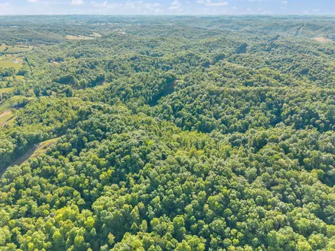 View/Area - 2881 Ky 755, Sandy Hook, KY 41171 photo 13 of 31