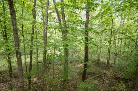 Other - 2040 Echo Point Rd, Bronston, KY 42518 photo 7 of 12