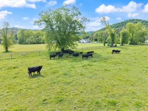 2560 Mcbrayer Rd, Clearfield, KY 40313