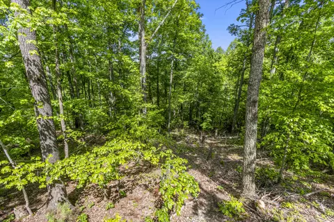 Exterior - 1237 High Rock Rd # B, Stanton, KY 40380 photo 7 of 8
