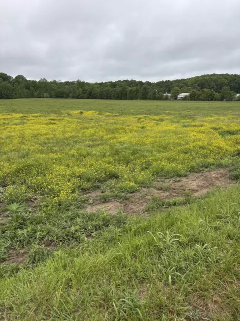 1075 Patterson Rd, Russell Springs, KY 42642