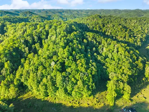 View/Area - 139 Burcham Fork Rd, Jackson, KY 41339 photo 10 of 18