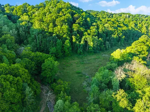 Other - 139 Burcham Fork Rd, Jackson, KY 41339 photo 3 of 4
