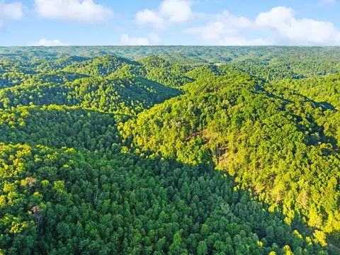 View/Area - 139 Burcham Fork Rd, Jackson, KY 41339 photo 18 of 18