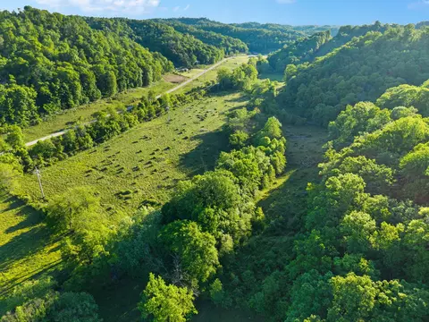 View/Area - 139 Burcham Fork Rd, Jackson, KY 41339 photo 11 of 18
